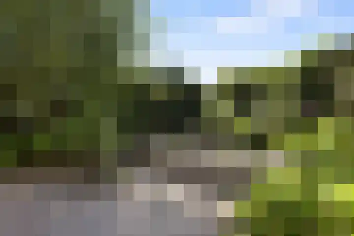 Jan van Galenlaan 13 Voorthuizen thumbnail 35