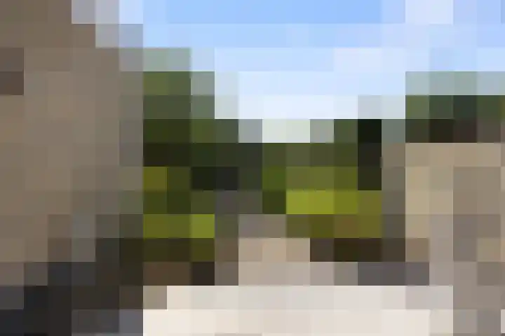 Jan van Galenlaan 13 Voorthuizen thumbnail 4