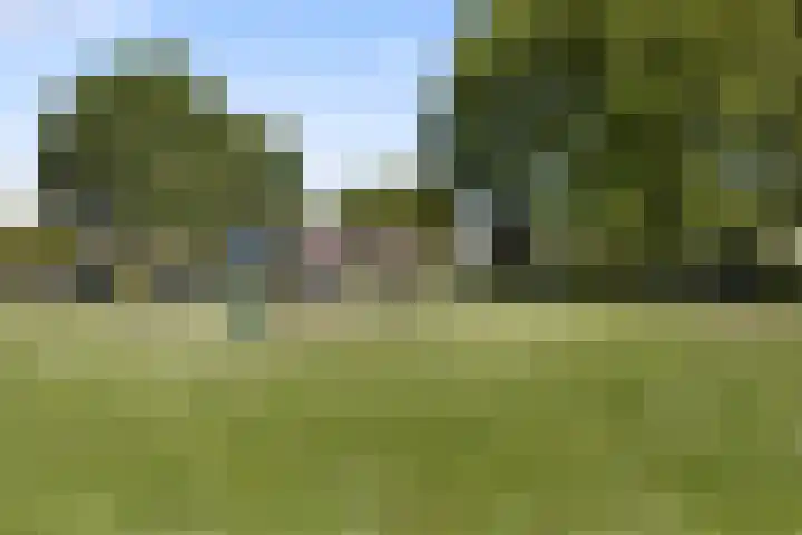 Jan van Galenlaan 13 Voorthuizen thumbnail 41