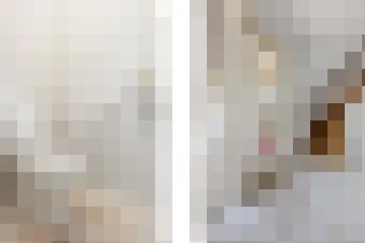 Jan van Galenlaan 13 Voorthuizen thumbnail 6