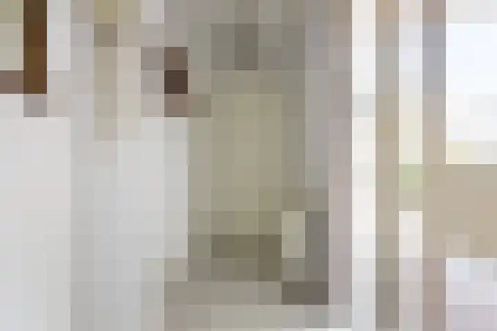 Jan van Galenlaan 13 Voorthuizen thumbnail 7