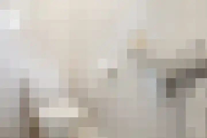 Jan van Galenlaan 13 Voorthuizen thumbnail 8
