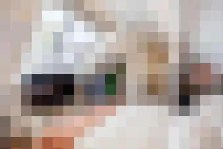 Jan van Galenlaan 13 Zuidhorn thumbnail 36