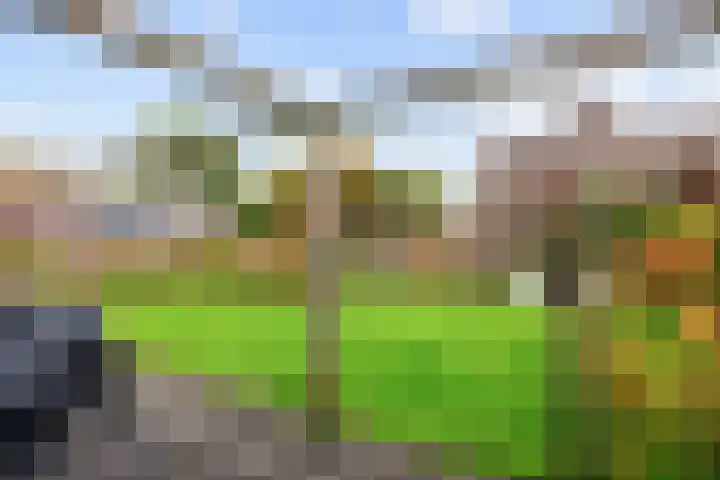 Jan van Galenlaan 13 Zuidhorn thumbnail 39
