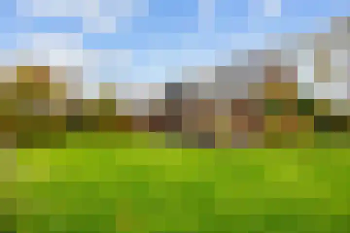 Jan van Galenlaan 13 Zuidhorn thumbnail 43