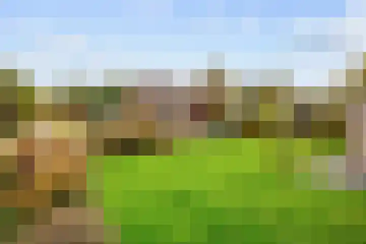 Jan van Galenlaan 13 Zuidhorn thumbnail 44