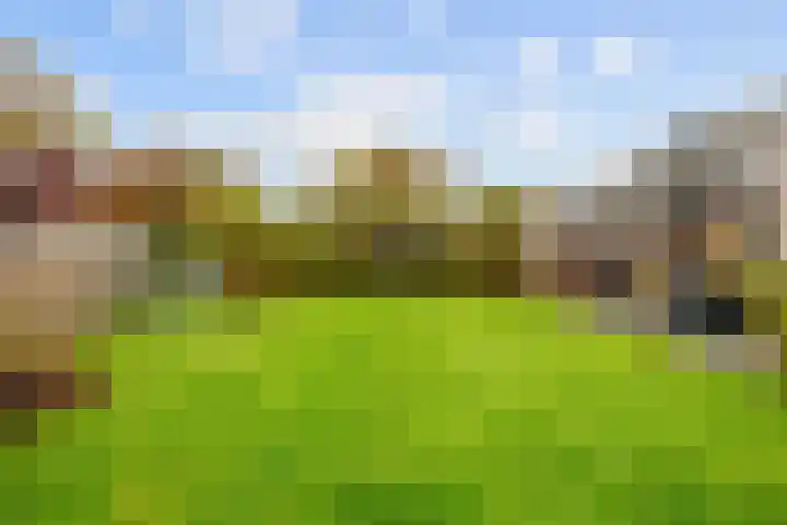 Jan van Galenlaan 13 Zuidhorn thumbnail 45