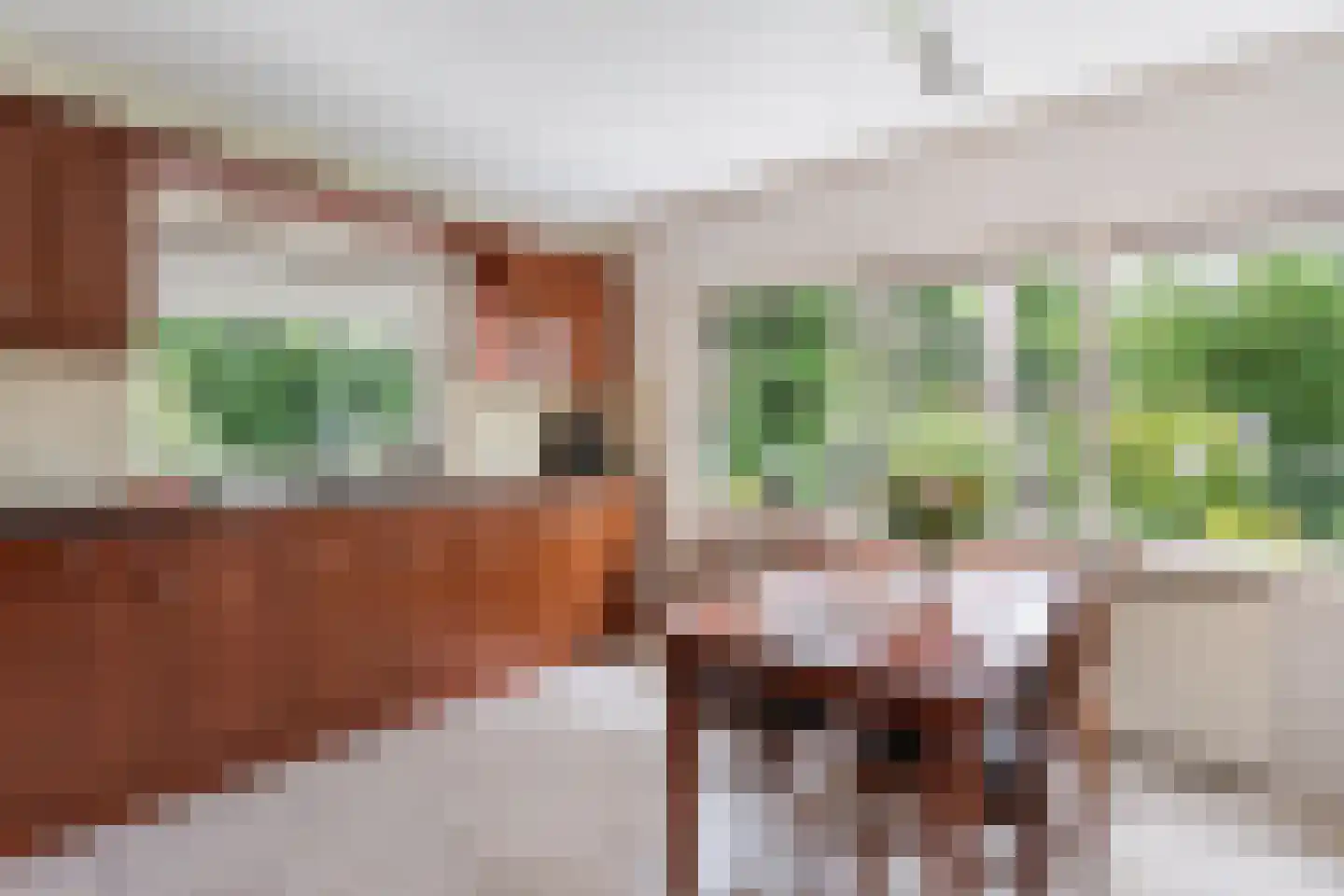 Jan van Galenlaan 3 Nijverdal thumbnail 11