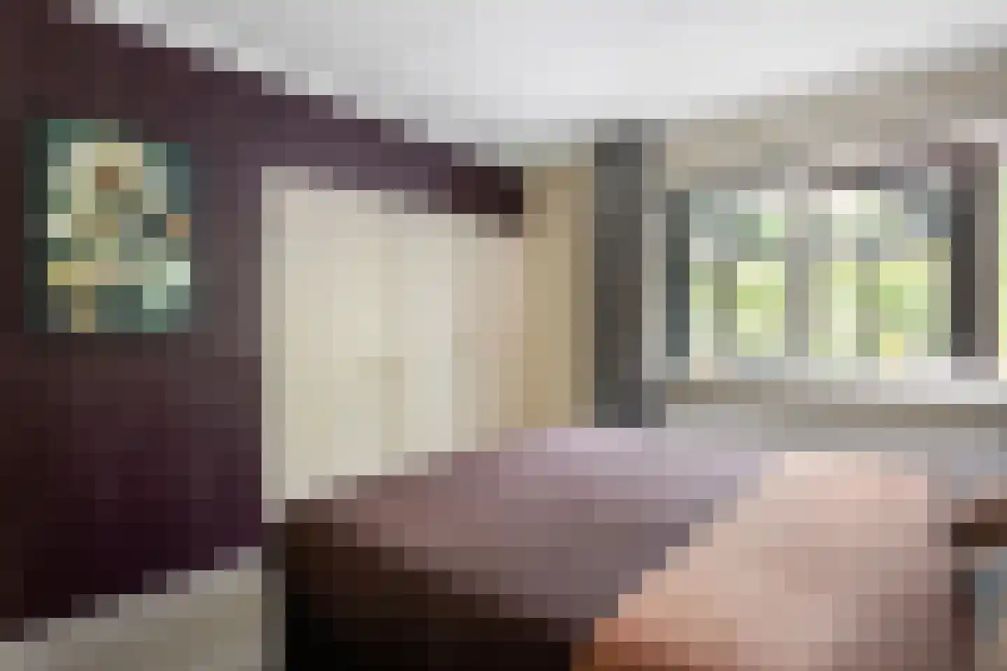 Jan van Galenlaan 3 Nijverdal thumbnail 13