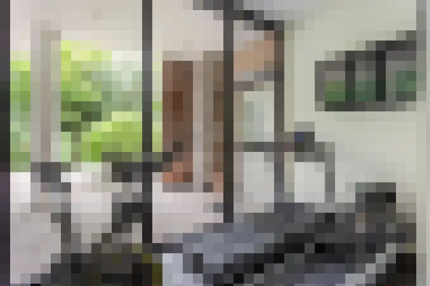 Jan van Galenlaan 3 Nijverdal thumbnail 17