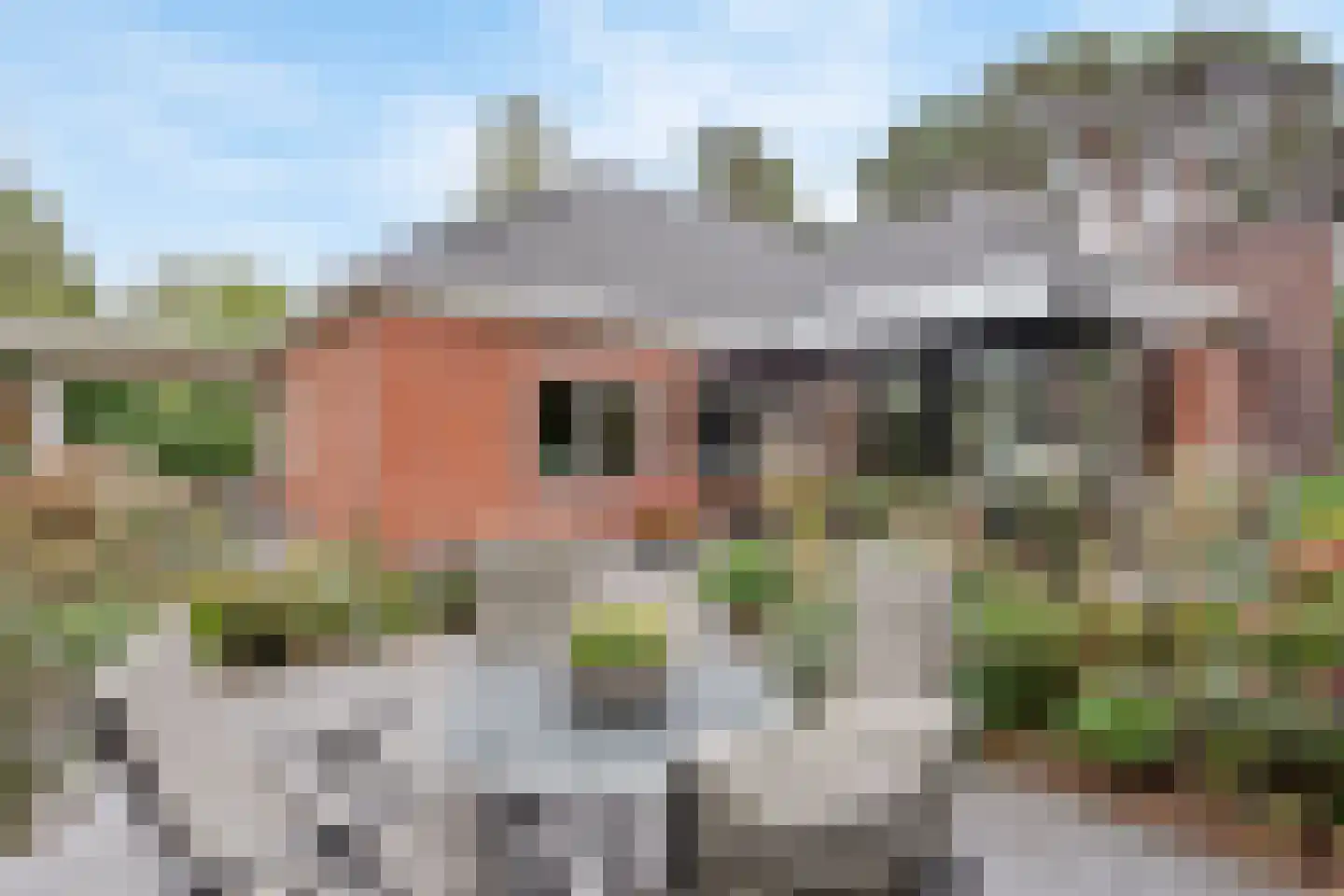Jan van Galenlaan 3 Nijverdal thumbnail 25