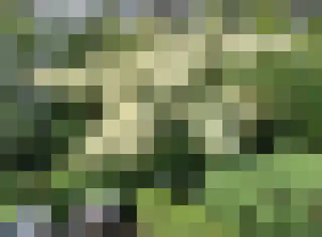 Jan van Galenlaan 3 Nijverdal thumbnail 31