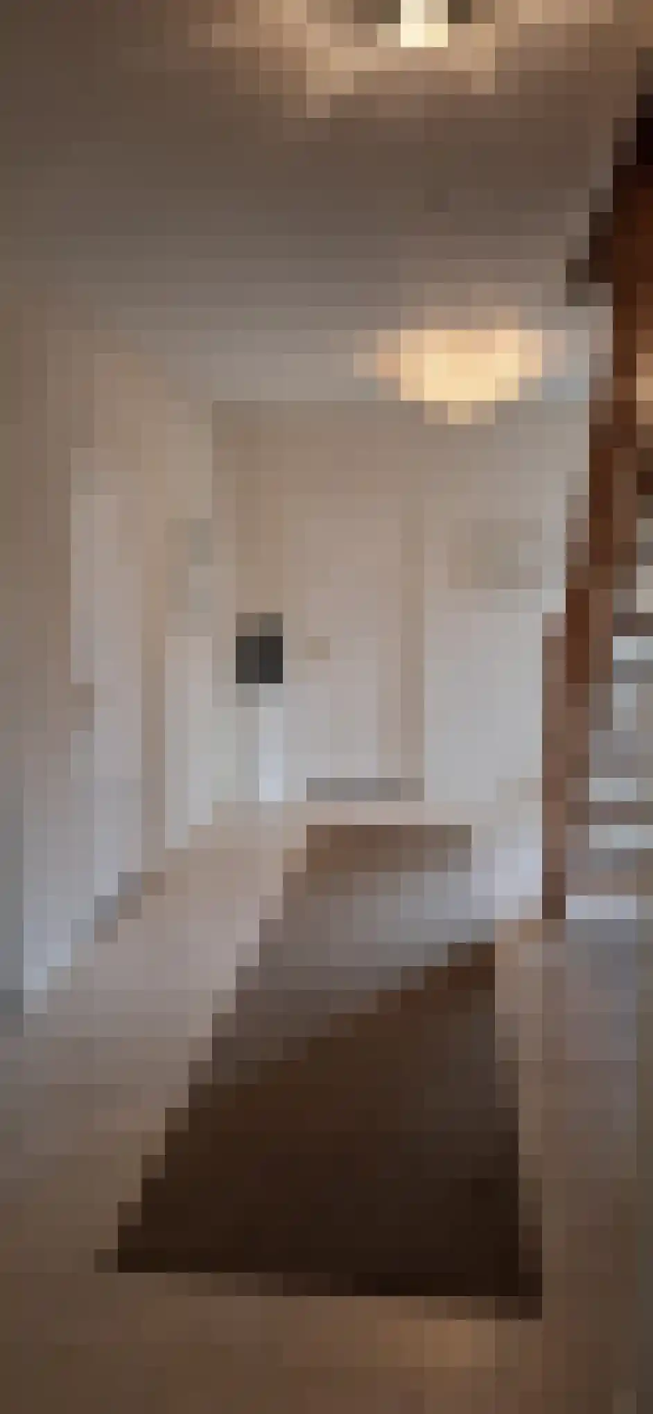 Jan van Galenlaan 3 Nijverdal thumbnail 6