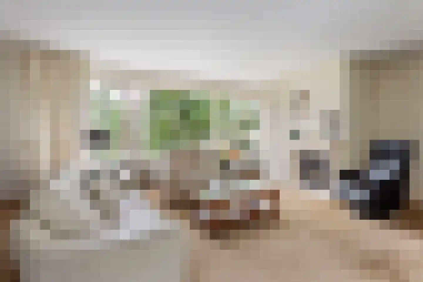 Jan van Galenlaan 3 Nijverdal thumbnail 7