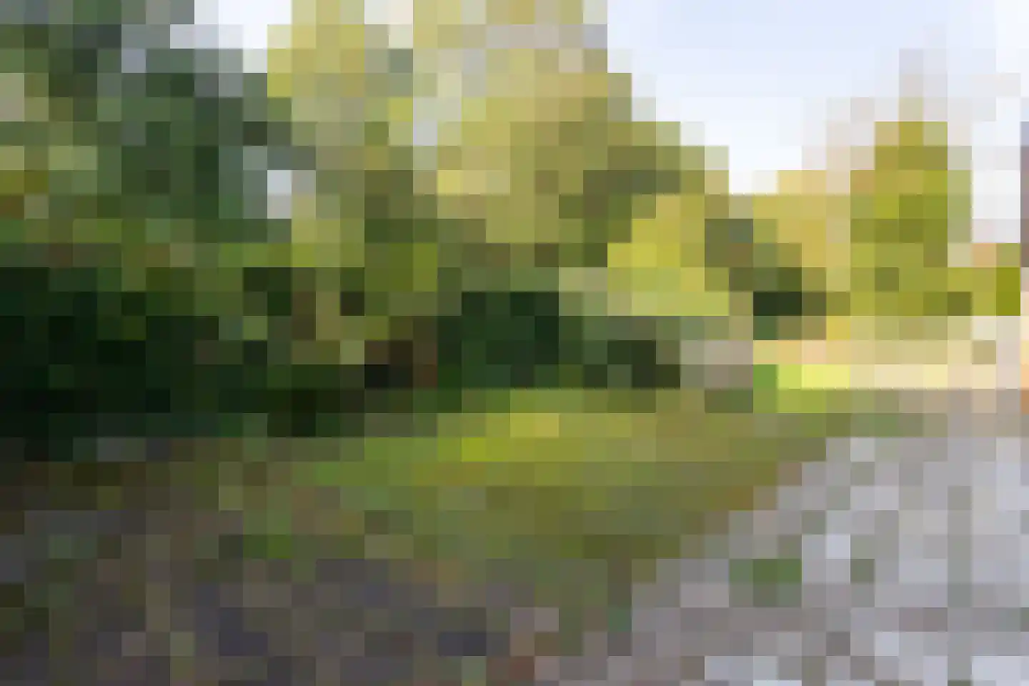 Jan van Galenlaan 31 Castricum thumbnail 25