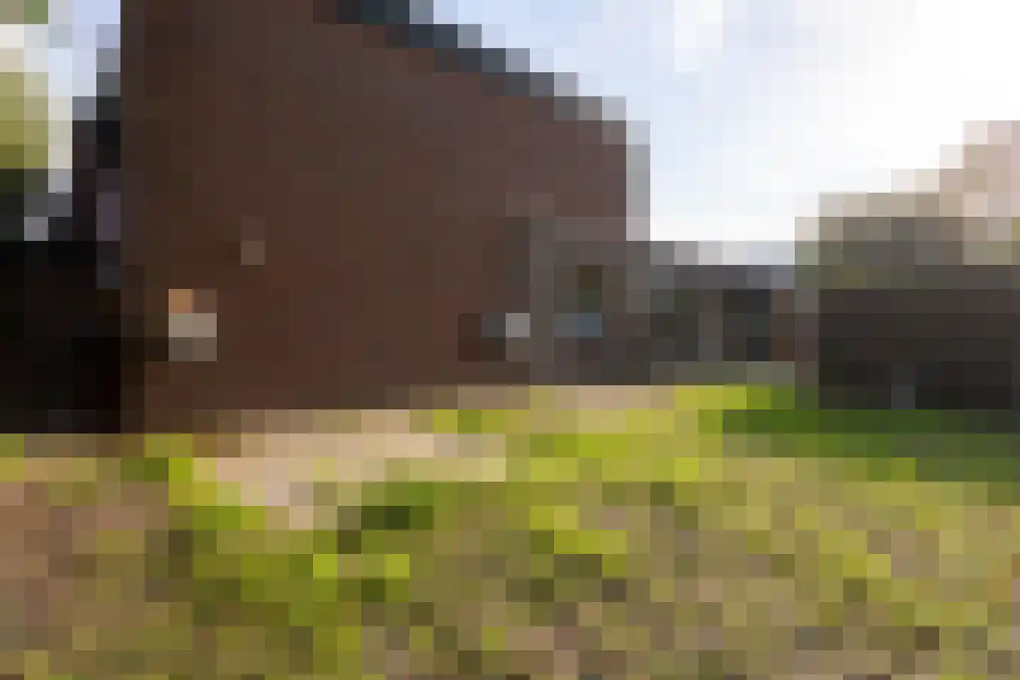 Jan van Galenlaan 31 Castricum thumbnail 28