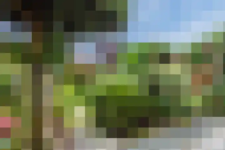 Jan van Galenlaan 32 Voorschoten thumbnail 21
