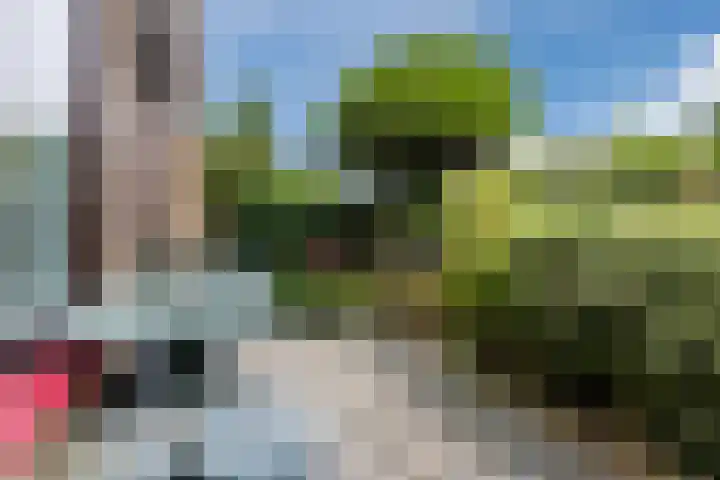 Jan van Galenlaan 32 Voorschoten thumbnail 22