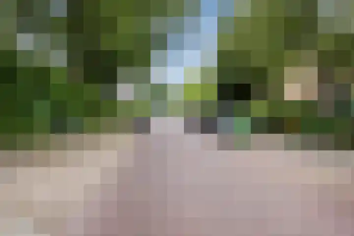 Jan van Galenlaan 32 Voorschoten thumbnail 26