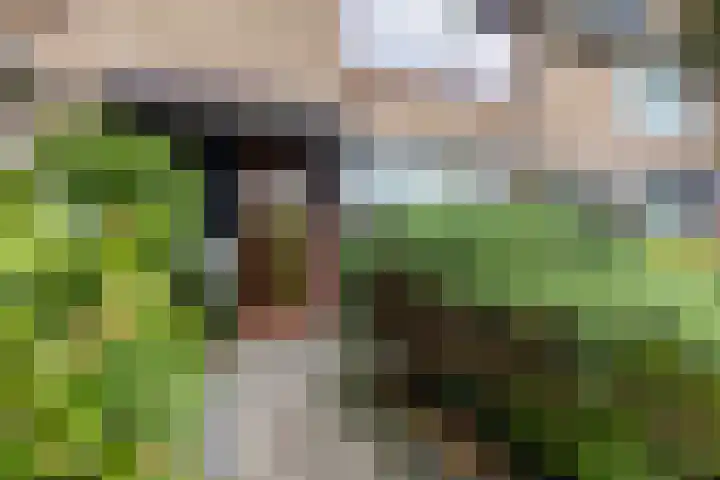 Jan van Galenlaan 32 Voorschoten thumbnail 4