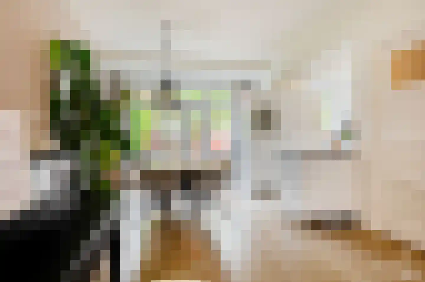 Jan van Galenstraat 10 Groningen thumbnail 14