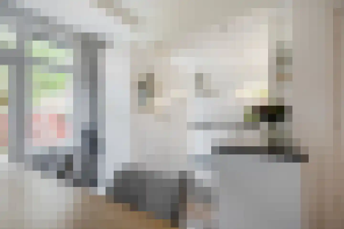 Jan van Galenstraat 10 Groningen thumbnail 17