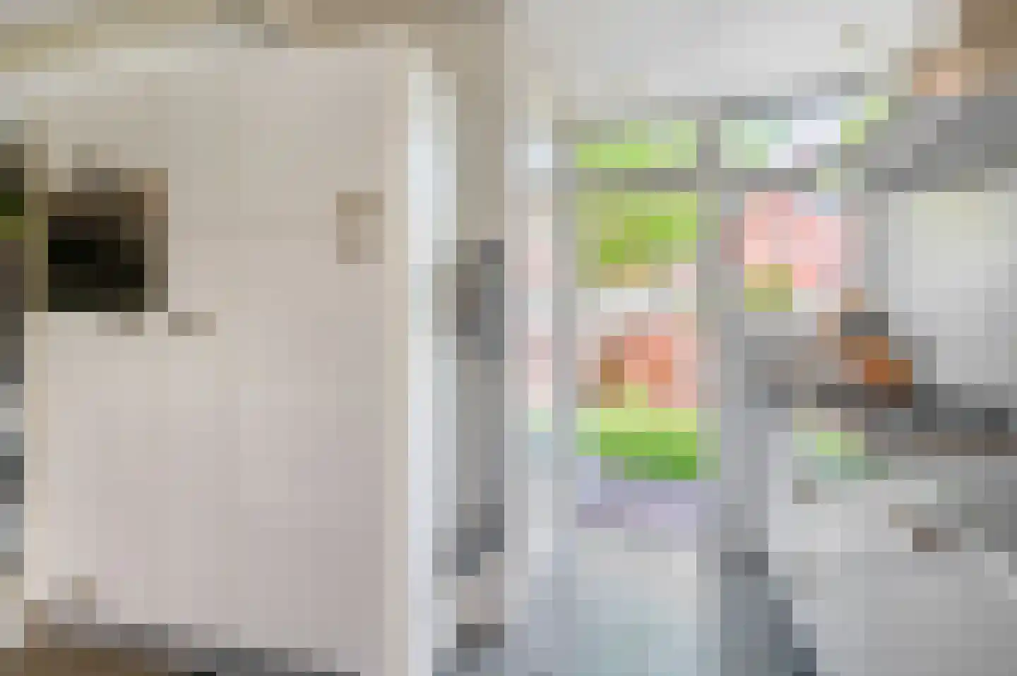 Jan van Galenstraat 10 Groningen thumbnail 20