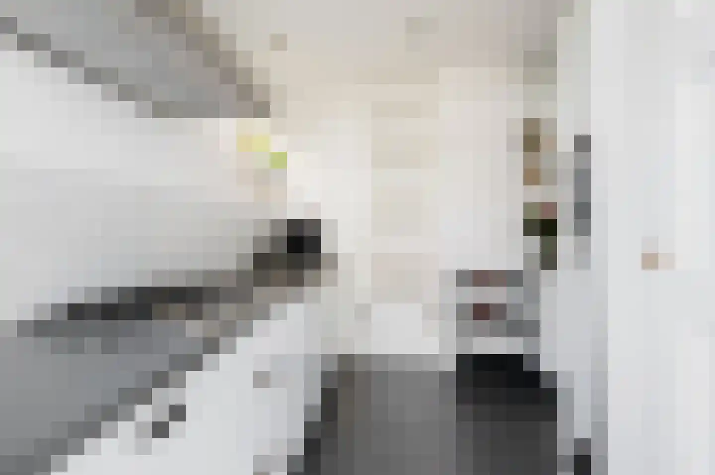 Jan van Galenstraat 10 Groningen thumbnail 21