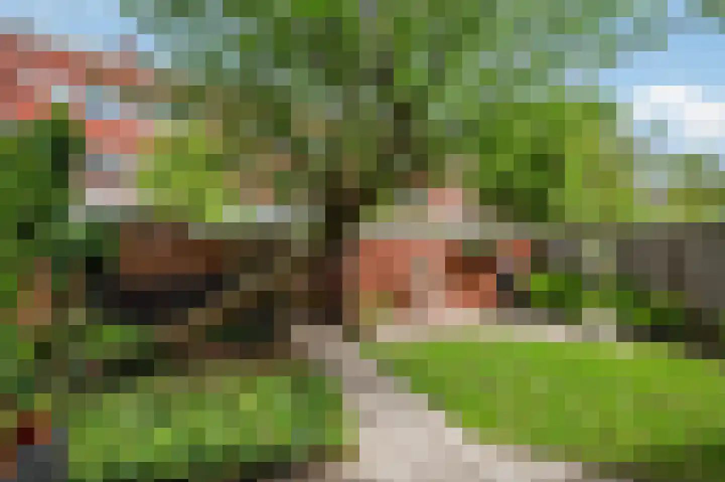 Jan van Galenstraat 10 Groningen thumbnail 34