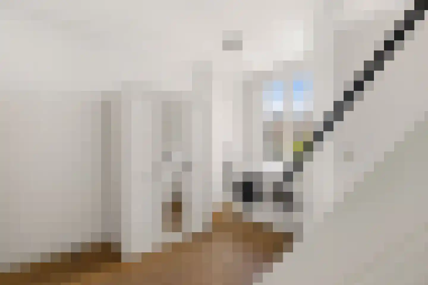 Jan van Galenstraat 111 F Amsterdam thumbnail 29
