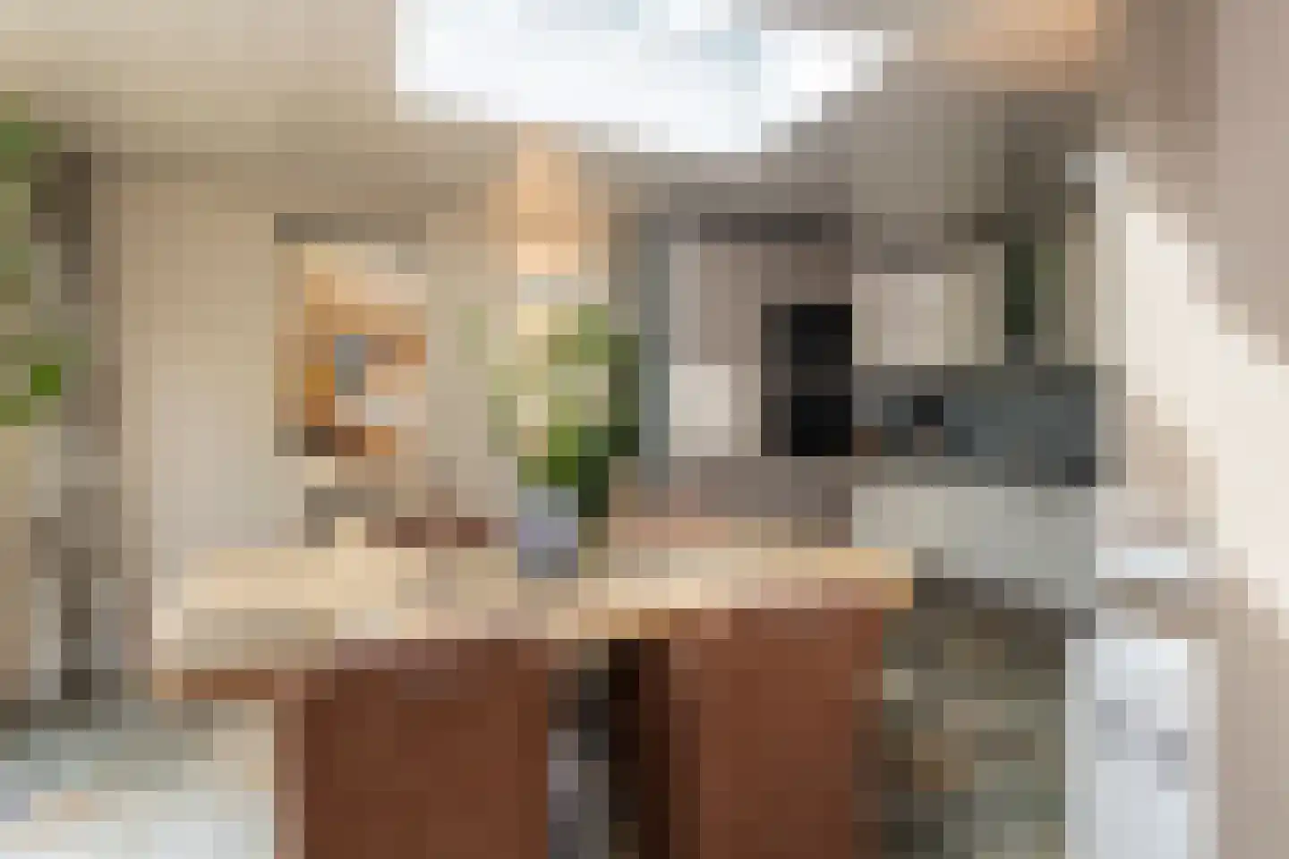 Jan van Galenstraat 12 De Lier thumbnail 11