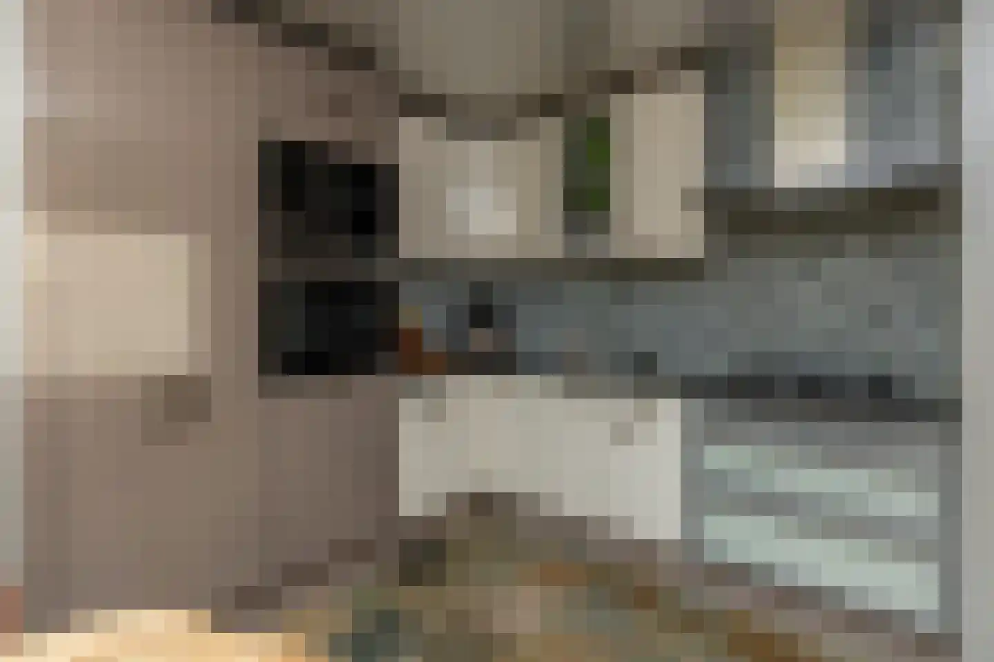 Jan van Galenstraat 12 De Lier thumbnail 12
