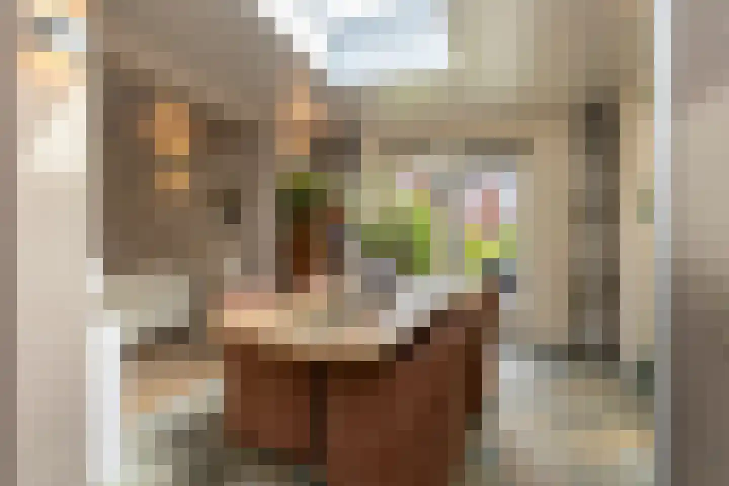 Jan van Galenstraat 12 De Lier thumbnail 15
