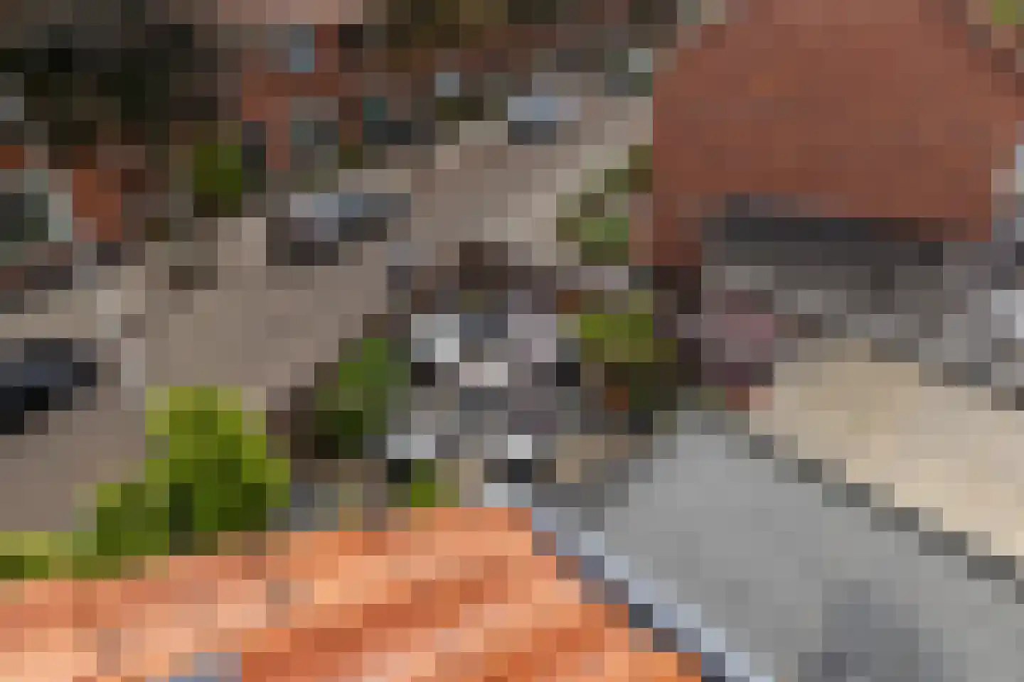 Jan van Galenstraat 12 De Lier thumbnail 22