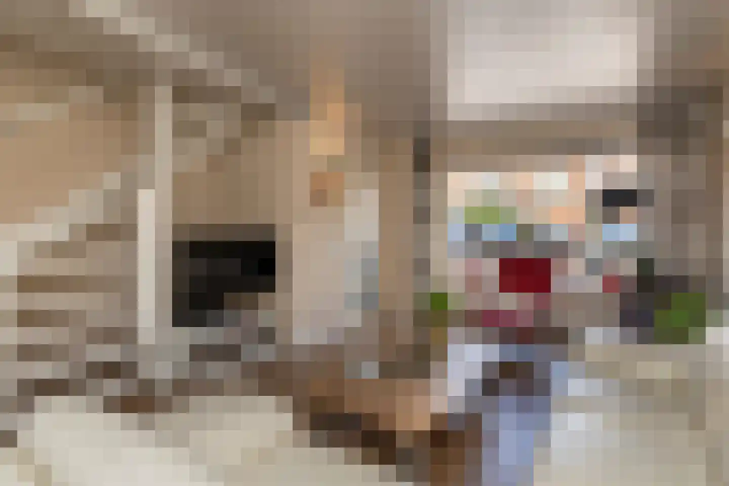 Jan van Galenstraat 12 De Lier thumbnail 6