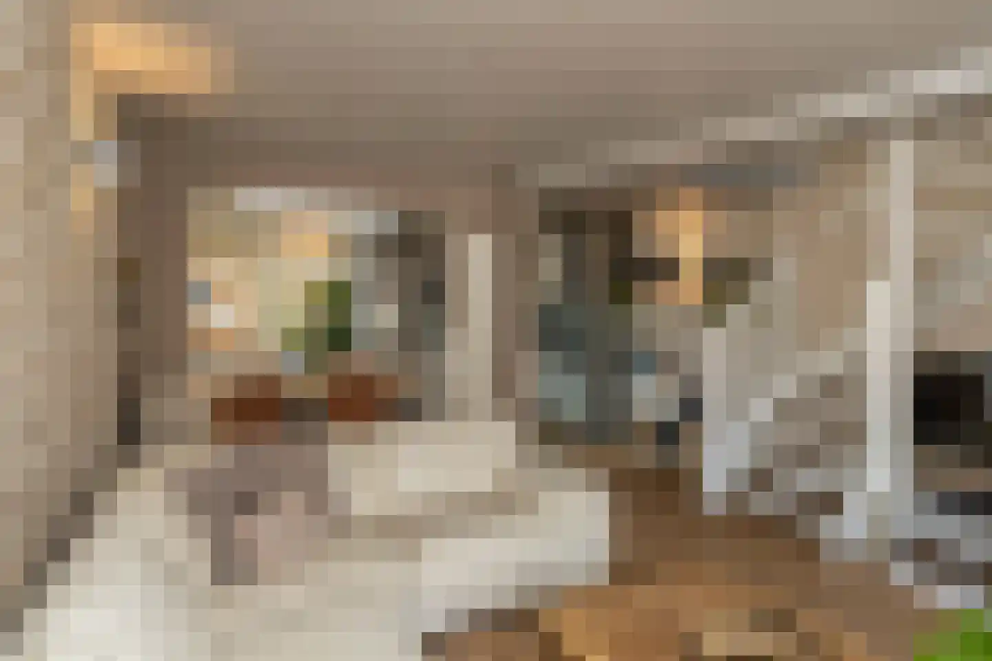 Jan van Galenstraat 12 De Lier thumbnail 8