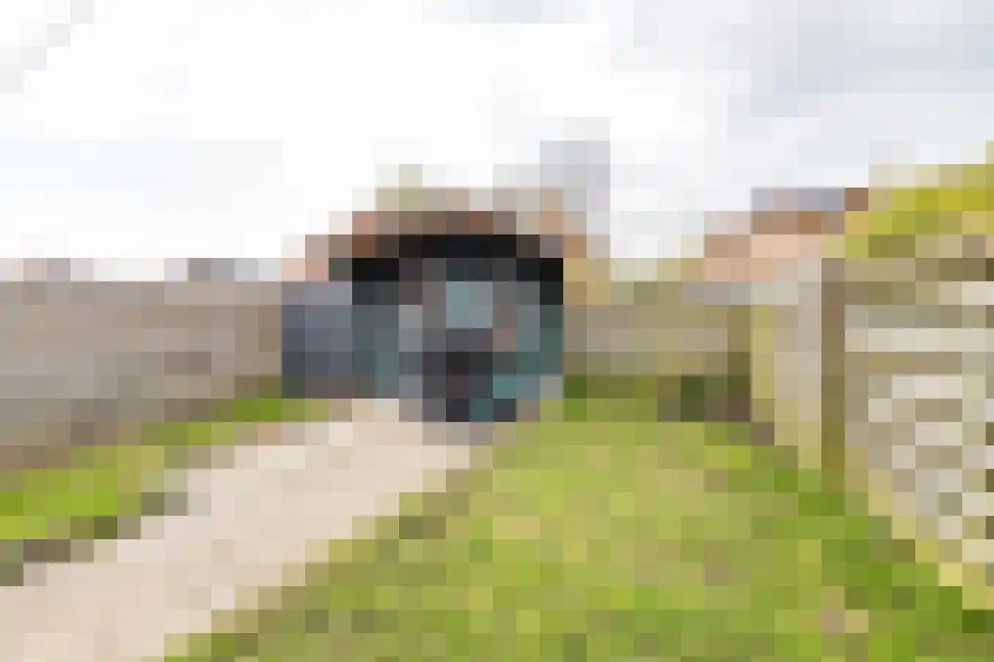 Jan van Galenstraat 16 Delfzijl thumbnail 32