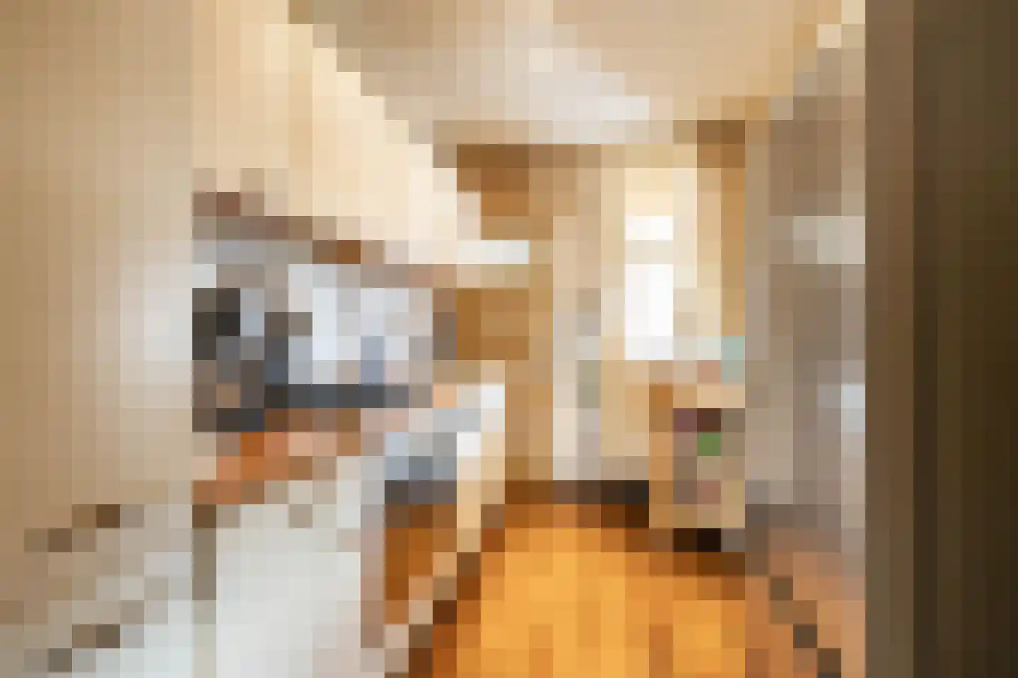 Jan van Galenstraat 16 Delfzijl thumbnail 8