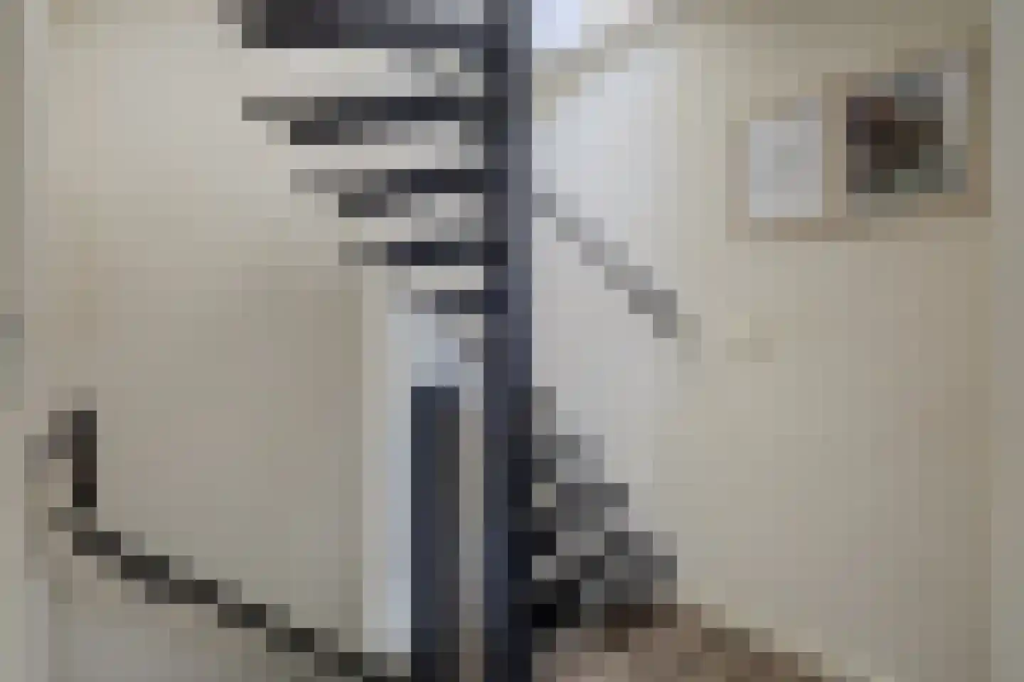 Jan van Galenstraat 17 De Lier thumbnail 17