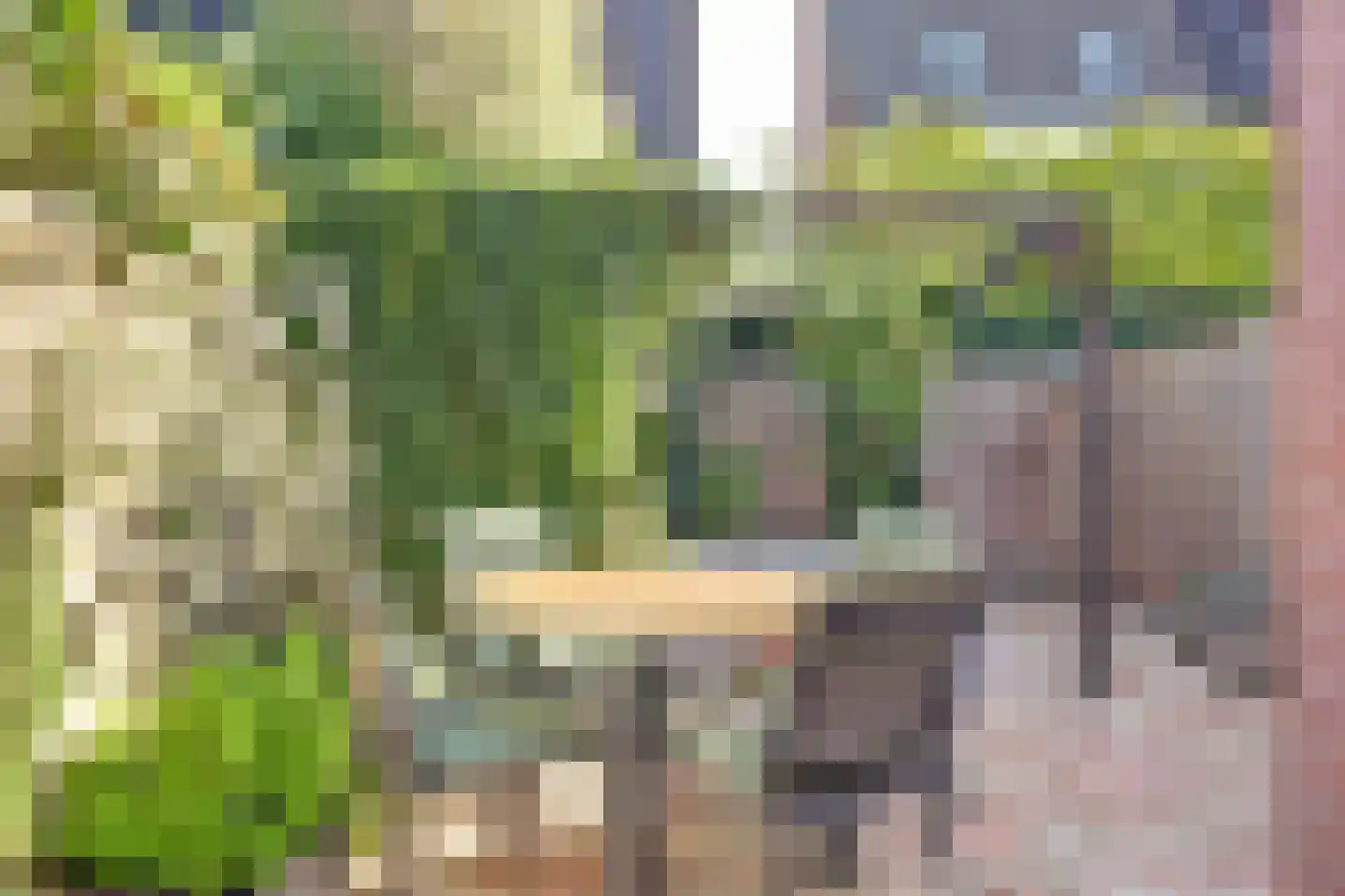 Jan van Galenstraat 17 De Lier thumbnail 4