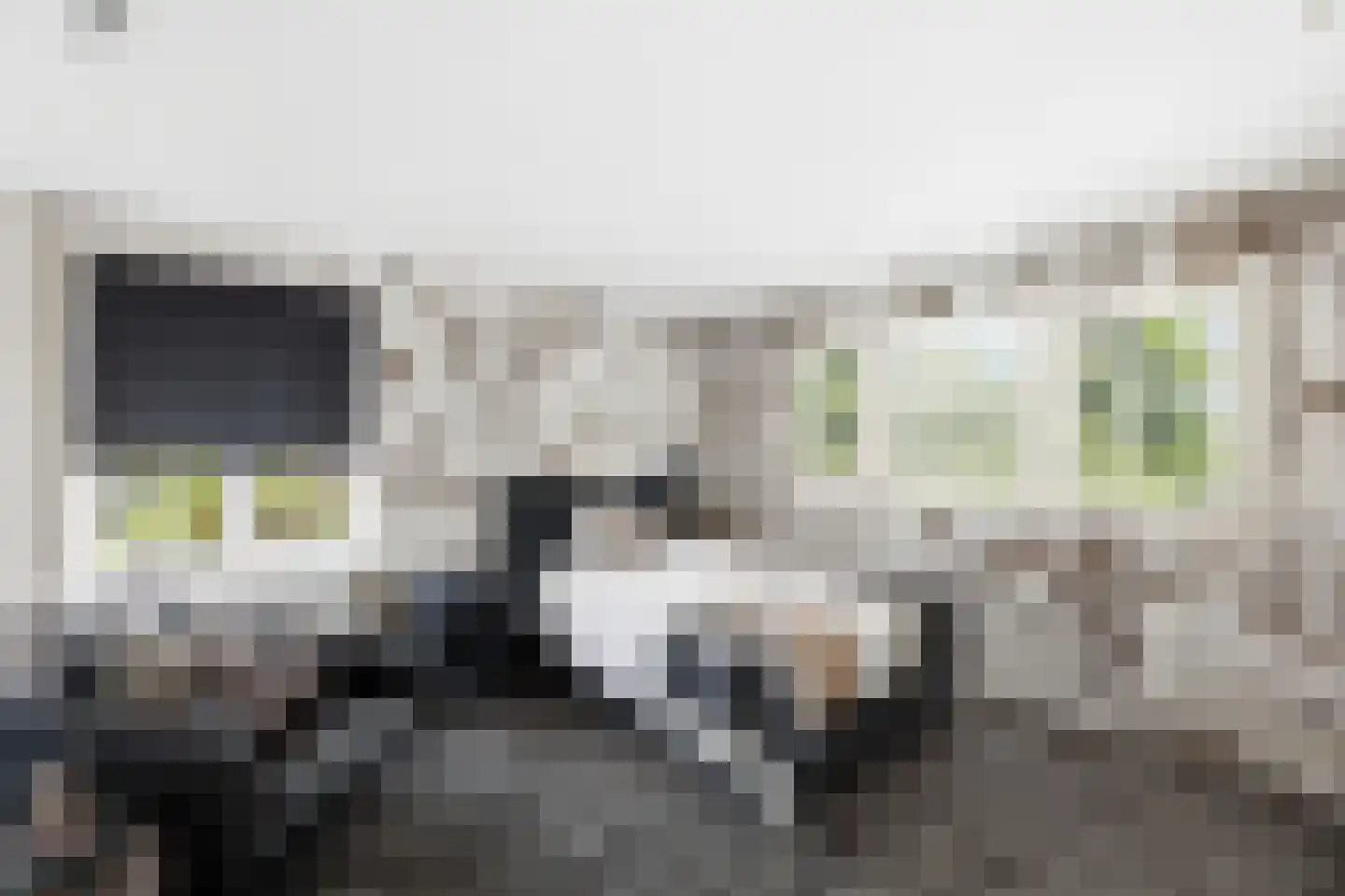 Jan van Galenstraat 19 Terneuzen thumbnail 28