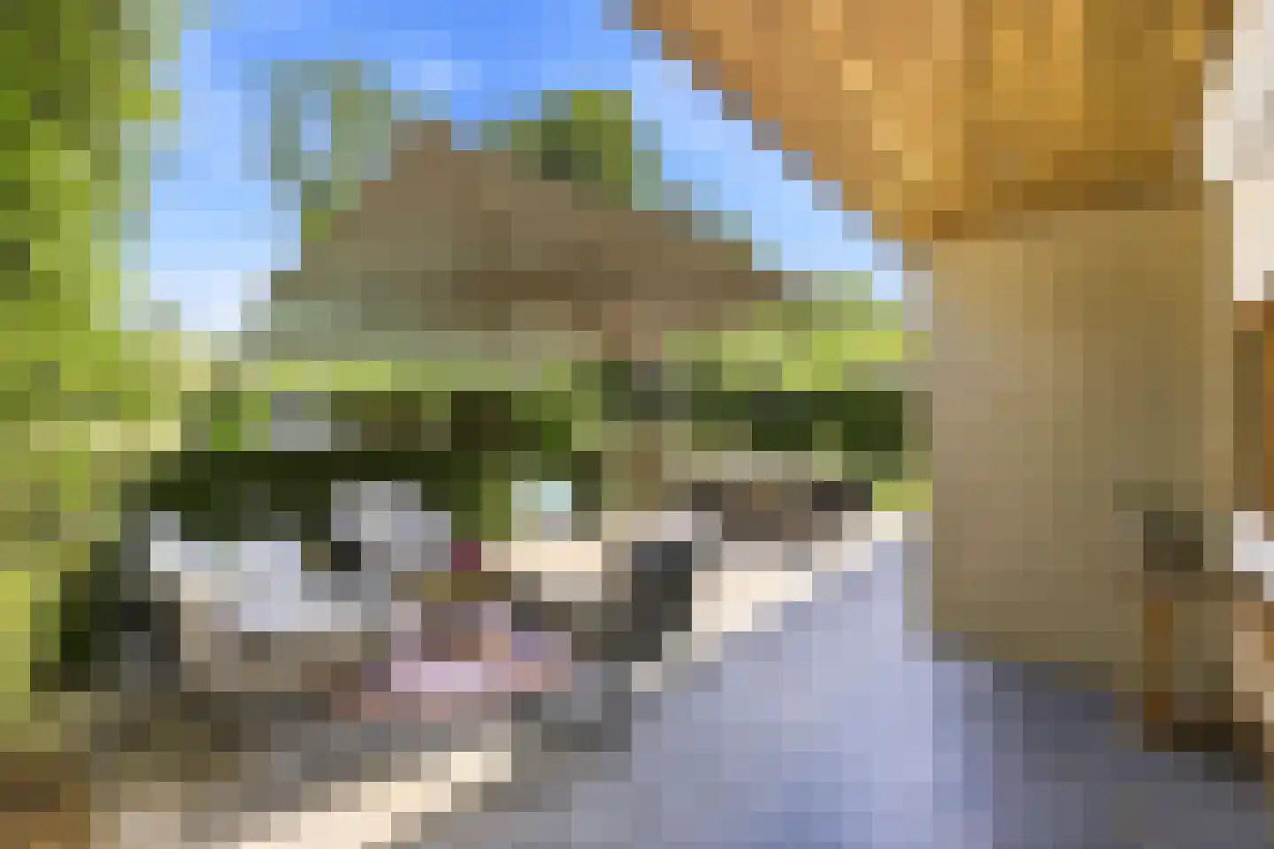 Jan van Galenstraat 19 Terneuzen thumbnail 35