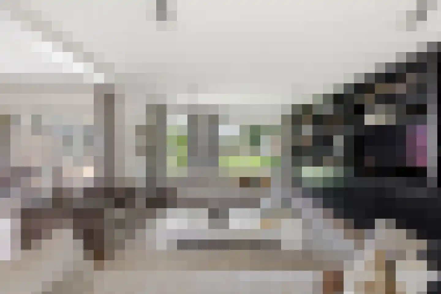 Jan van Galenstraat 19 Terneuzen thumbnail 8