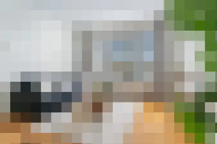 Jan van Galenstraat 199 H Amsterdam thumbnail 4