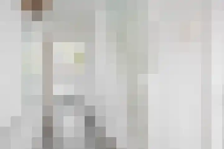 Jan van Galenstraat 2 Spijkenisse thumbnail 10