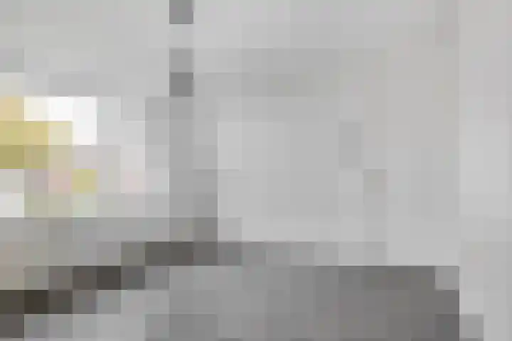 Jan van Galenstraat 2 Spijkenisse thumbnail 19
