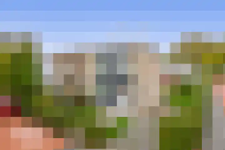 Jan van Galenstraat 2 Spijkenisse thumbnail 5