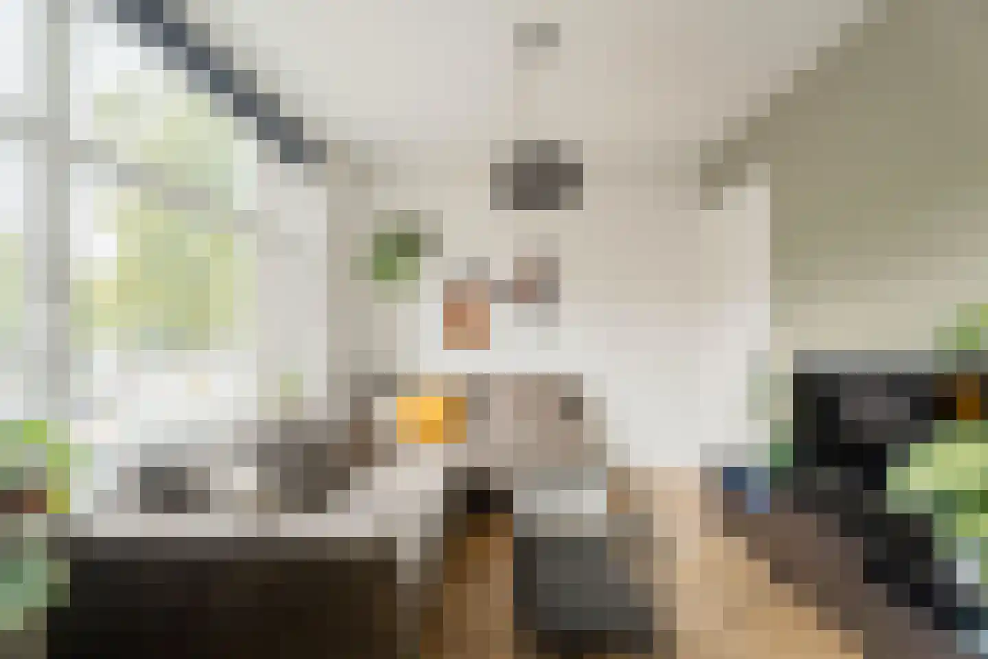 Jan van Galenstraat 208 1 Amsterdam thumbnail 8
