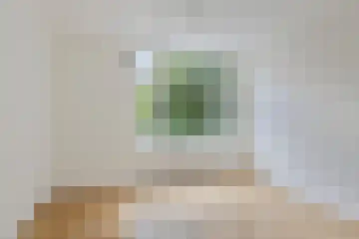 Jan van Galenstraat 210 3 Amsterdam thumbnail 12