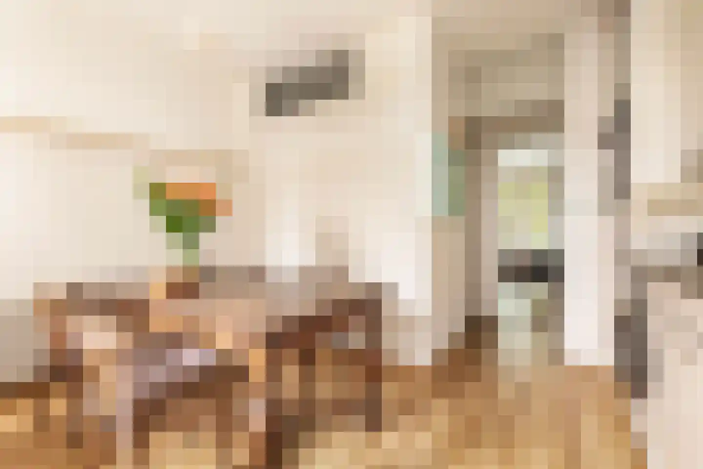 Jan van Galenstraat 223 1 Amsterdam thumbnail 12